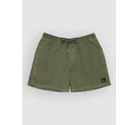 Quiksilver Everyday Surfwash Volley 15´´ Swimming Shorts Green XS Men