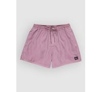Quiksilver Everyday Surfwash Volley 15´´ Swimming Shorts Purple XL Men