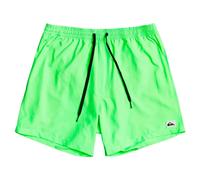 Quiksilver Boys Everyday Volley Youth 13 Boardshort, Green, 14 Years EU