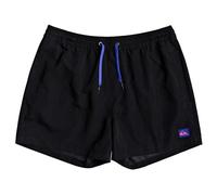 Quiksilver Everyday 15" - Swim Shorts for Men