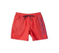 Quiksilver Everyday Volley - Swim Shorts for Boys 8-16