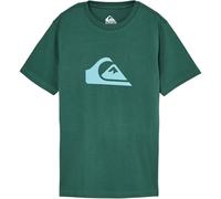 Children's T-shirt Quiksilver Ev Comp Logo Vert 14 ans