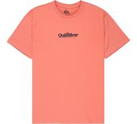 Quiksilver Short Sleeve T-Shirt Fineline SS Mens Pink