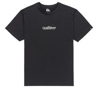 Quiksilver Men's Fineline Ss T-Shirt (Pack of 1)