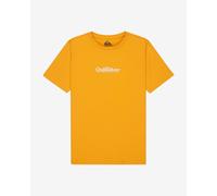 Quiksilver Fineline Short Sleeve T-Shirt Orange White Kid - 12