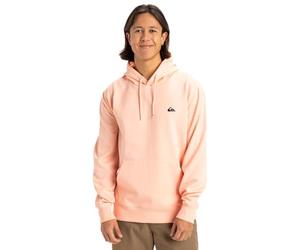 Quiksilver Fleece sweater BASIC HOODIE YOUNG MEN Men Pink M