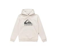 Quiksilver - Kid's Big Logo Hoodie - Hoodie size 14 Years, white