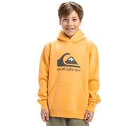 Quiksilver Fleece sweater BIG LOGO HOODIE YOUTH Youth Orange 8