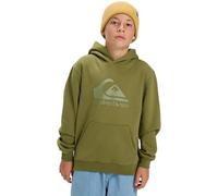 Quiksilver Fleece sweater COMP LOGO HOODIE KIDS Boy's Green 16