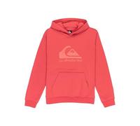 Quiksilver Fleece sweater COMP LOGO HOODIE KIDS Boy's Pink 16