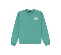 Quiksilver Fleece sweater GRAPHIC CREW KIDS Boy's Green 12