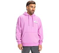 Quiksilver Omni Logo Hoodie