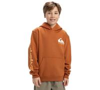 Quiksilver Fleece sweater OMNI LOGO HOODIE YOUTH Youth Brown 10