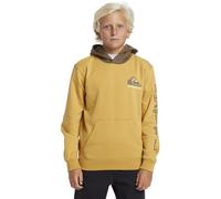 Quiksilver Fleece sweater OMNI LOGO HOODIE YOUTH Youth Yellow 14