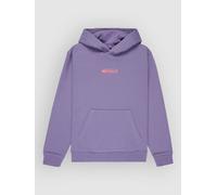 Quiksilver Globe Kids Hoodie daybreak T10