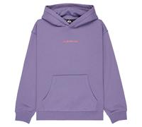 Quiksilver Graphic Hero Hoodie