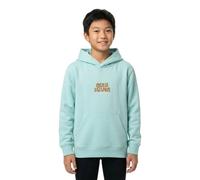 Quiksilver Graphic Hoodie Green 4 Years Boy