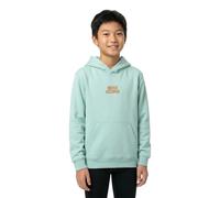Quiksilver Graphic Youth Hoodie
