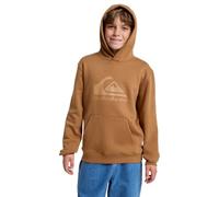 Quiksilver Hoodie COMP LOGO HOODIE YOUTH Boys Brown