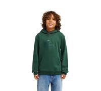 Quiksilver Hoodie COMP LOGO HOODIE YOUTH Boys Green