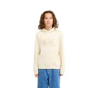 Quiksilver Hoodie COMP LOGO HOODIE YOUTH Boys White