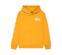 Quiksilver Hoodie OMNI LOGO HOODIE YOUTH Boys Yellow