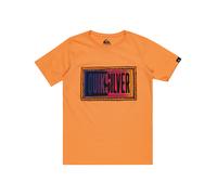Quiksilver Kids Day Tripper Short Sleeve Crew Neck Cotton T-Shirt Top Tee