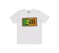 Quiksilver Kids Day Tripper Short Sleeve Crew Neck Cotton T-Shirt Top Tee