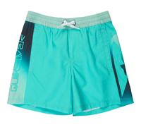 Quiksilver Kids Everyday Holmes Volley 16" Swim Shorts