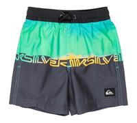 Quiksilver - Kid's Everyday Straight Volley Boy 12 - Boardshorts size 2 Years, blue