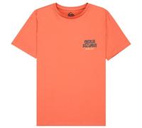 Quiksilver - Kid's Fruits Tide S/S - T-shirt size 12, red