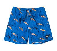 Quiksilver Boardshorts Next GEN Volley YTH 14 Youth Blue 8