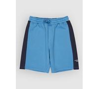 Quiksilver Knowledge Area Kids Shorts riviera T16