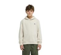 Quiksilver Basic Hoodie White 12 Years Boys