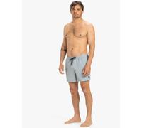 Quiksilver male Everyday Flex Swim Shorts - Light Grey, Light Grey,Navy