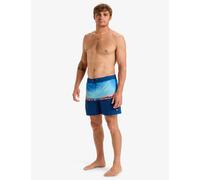 Quiksilver male Everyday Swim Patterned Shorts - 32 - Blue Mix, Blue Mix,Orange Mix