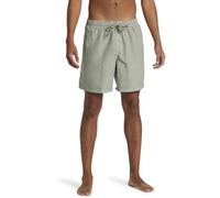 Quiksilver Men's Board Shorts