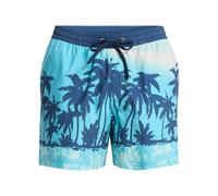 Quiksilver Men's Everyday Printed Volley 15 Board Shorts, Aqua THERMOTROPICS, XXL