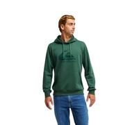 Quiksilver Hoodie COMP LOGO HOODIE Mens Green