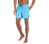 Quiksilver Men's Everyday 17 Elastic Waist Volley Swim Trunk Bathing Suit Board Shorts, Blithe, Large
