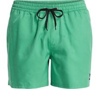 Quiksilver Everyday Deluxe Volley 15´´ Swimming Shorts Green L Men