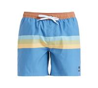 Quiksilver Men's Everyday Straight Volley 15 Board Shorts (Pack of 1)