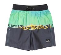 Quiksilver Everyday Straight Vly 12 Swimming Shorts Green,Grey 4 Years Boys