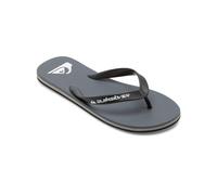 Quiksilver Men's Molokai Core Sandal, Grey 1, 7.5 UK