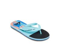 Quiksilver Men's Molokai Stripe 25. Sandal, Nebulas Blue Bloomfade, 7.5 UK