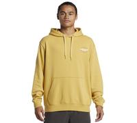 Quiksilver Mens Omni Sign Po Hoodie Pullover Sweater, Fall Leaf, XL EU