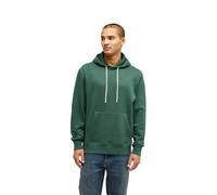 Quiksilver Men's Salt Water Hoodie Pullover Sweater (pack of 1)