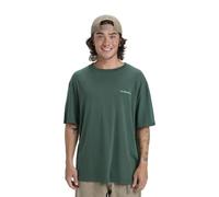Quiksilver Men's Salt Water Ss T-Shirt (Pack of 1)