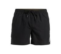 Quiksilver Men's Spl Fineline Volley 15 Board Shorts (Pack of 1)