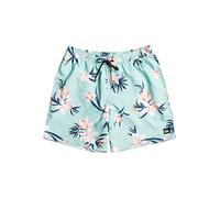 Quiksilver Men's Standard Everyday Mix 17 Volley Swim Trunk Boardshort, Beach Glass, X-Large